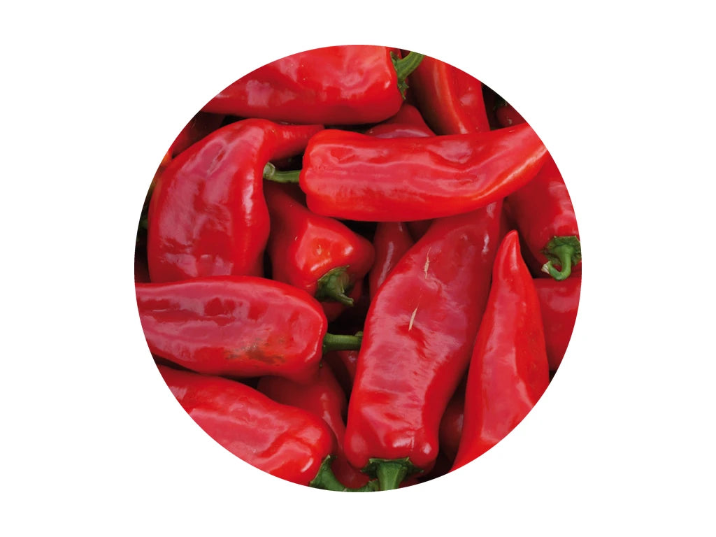 Paprika Ochsenhorn