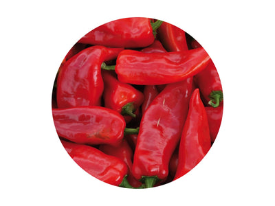 Bio-Saatgut Paprika „Ochsenhorn“