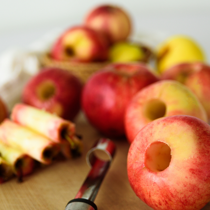 Obst Entkerner Edelstahl